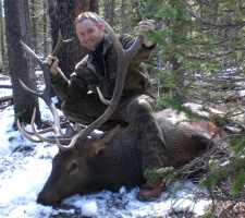Utah General Season Open Bull Elk Hunt, Utah Elk Hunts