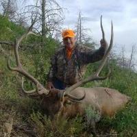 Utah Book Cilffs Limited Entry Elk Hunt, Utah Elk Hunts
