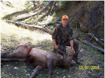 Utah Cow Elk Hunt and Utah Spike Elk Hunt, Utah Elk Hunts