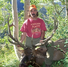 Utah Wasatch Mountains Limited Entry Elk Hunt, Utah Elk Hunts