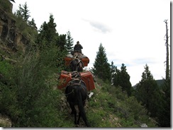 IMG_0066