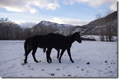 Babys first christmas