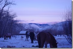 dinner in the mountains