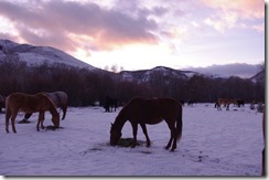 dinner on the ranch