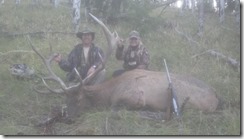 Utah limted entry elk Book Cliffs